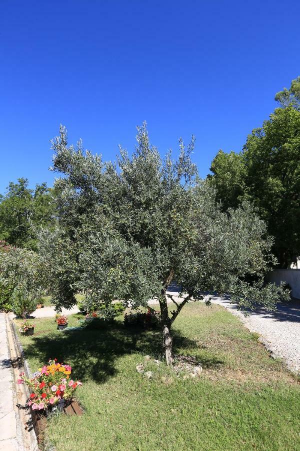 Le Mas Du Vieux Chene Saint-Paul-en-Foret Экстерьер фото